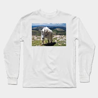 Let's make friends Long Sleeve T-Shirt